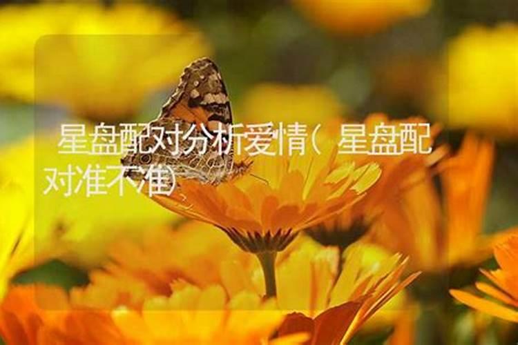 生辰八字打一个生肖