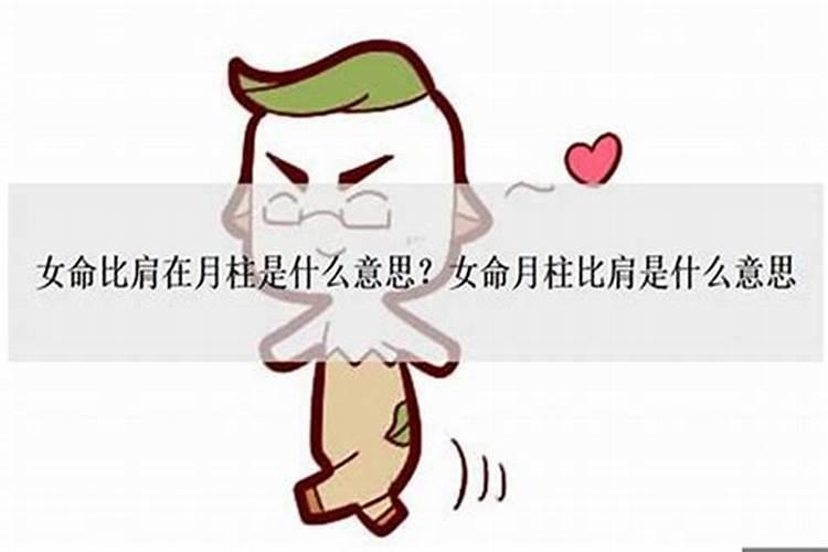 95年腊月29属什么属相,阴历1995年12月29五行属相表