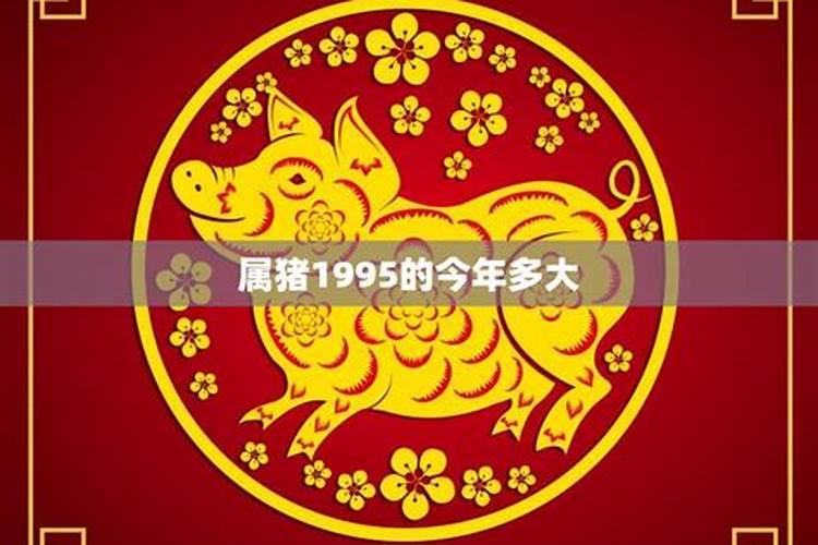 男鼠女龙旺夫吗