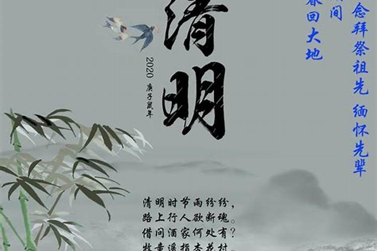 2025清明特别节目
