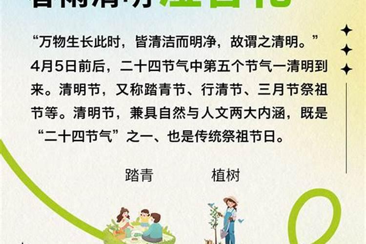 清明节 这几天有那些新闻(100字以下介绍)