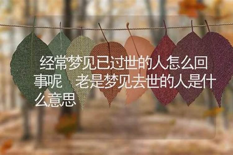 2025年的蛇五行属什么命