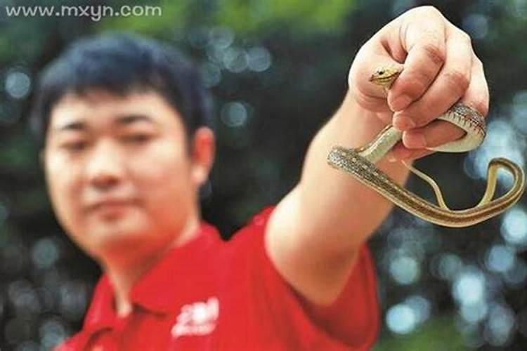 梦见一男同事上班时突然死去的预兆