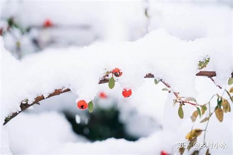 请问下本命年是满了23到24之间算本命年？还是满了24到25之间算本命...