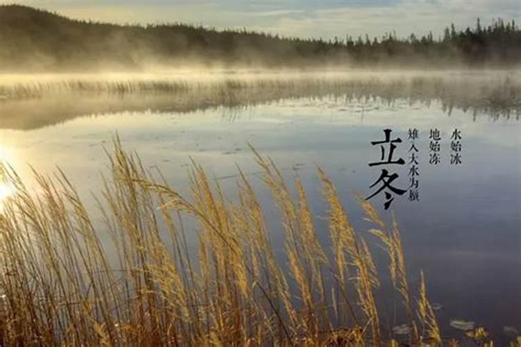 今年北京雪最大的是那天？