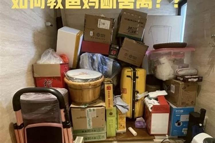 69年属鸡人在2025年的详细运势是什么？