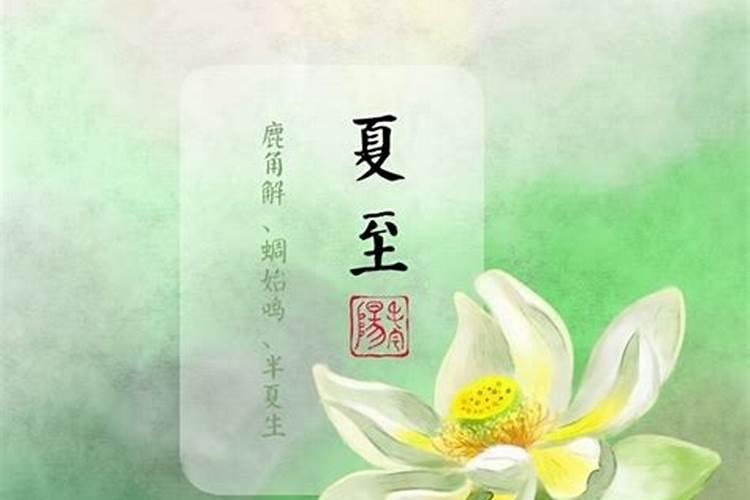 2025年除夕为什么是29