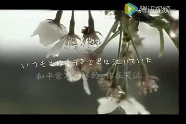 四柱算命的具体方法是什么,用八字怎么推算自己的命运
