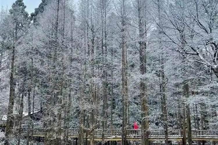今年什么本命年