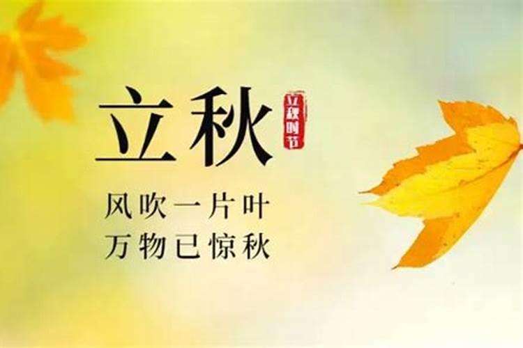 东北立秋习俗,东北立秋当天吃什么