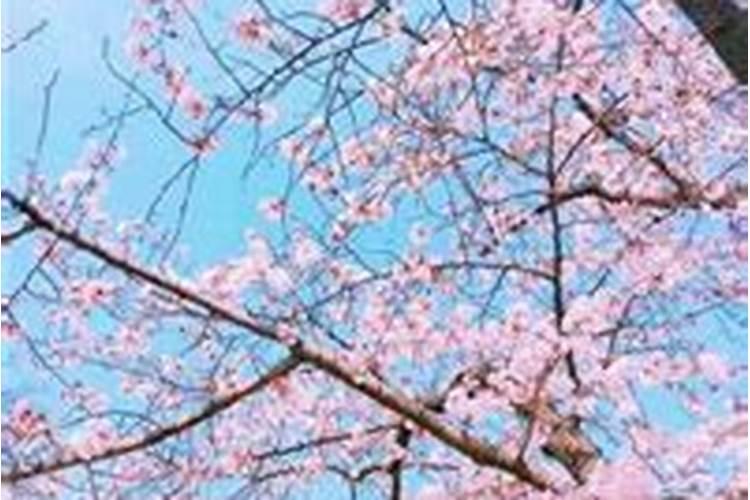 怎样对付小人绝招