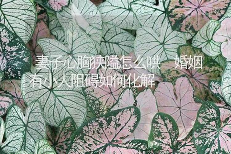 93年属鸡人的婚姻最终归宿
