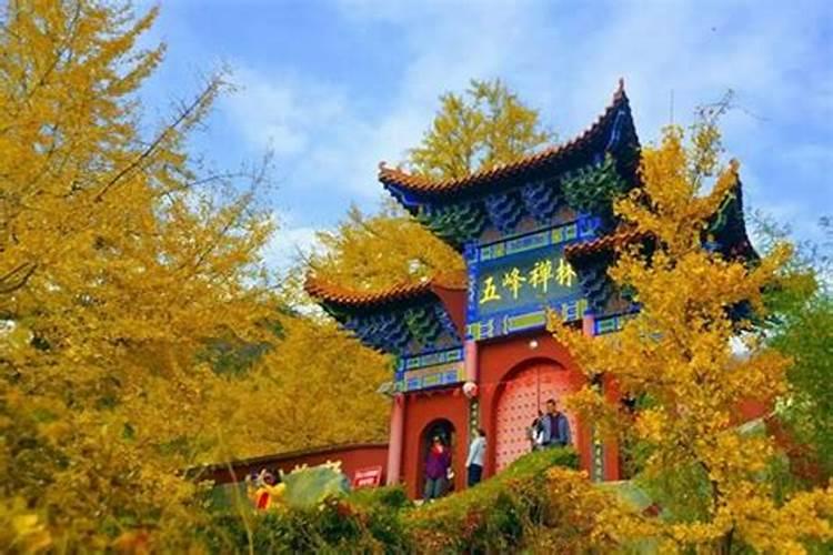 寺庙做法事真的会有效果吗