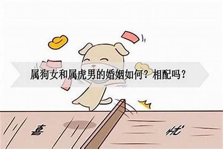 74年虎人今年明年有丧事吗 属虎人近两年运势如何