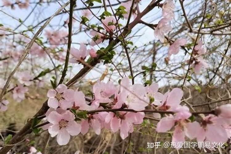 八字测算姻缘,怎么催桃花？