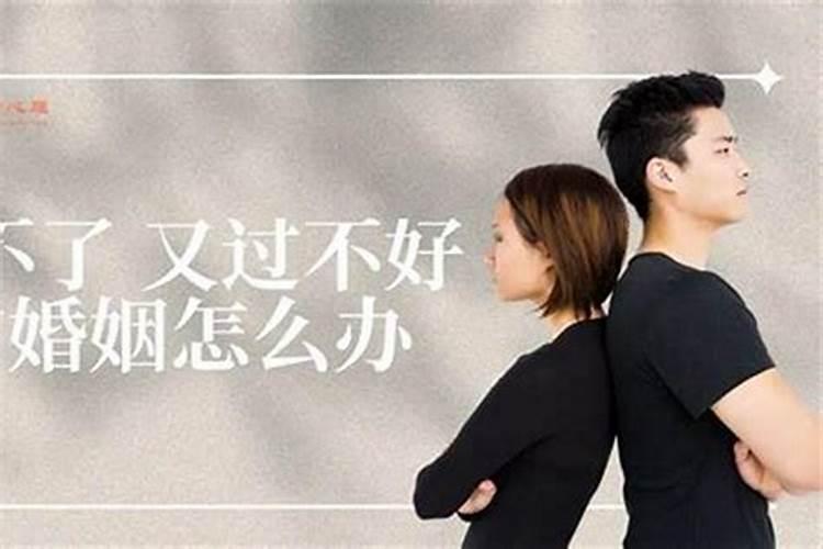 属龙人的婚姻与命运,运势如何