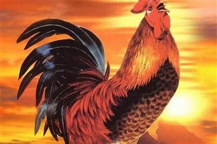 牛和狗在一起对谁不利 属狗和属牛夫妻的财运