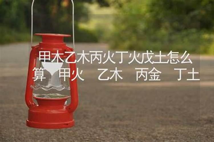 两个丙火对于甲木