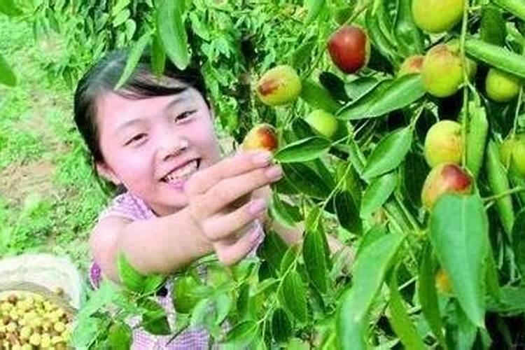 属猴人2025全年运势 属猴人2025年每月运势