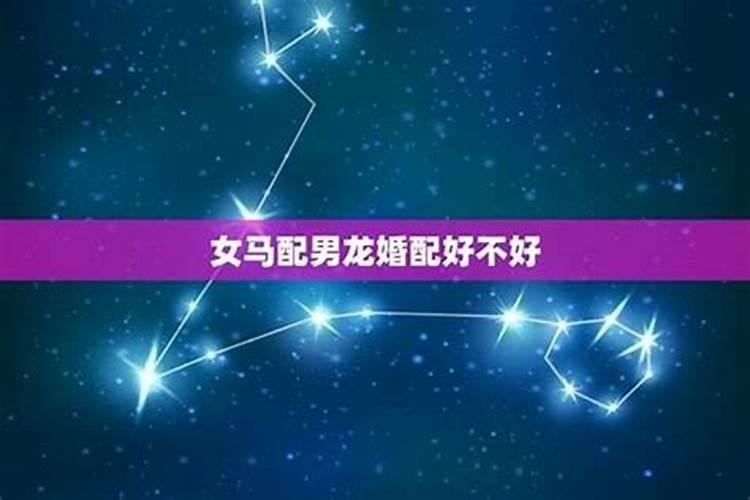 男属马的和女属龙的在一起合适吗？一个1990年一个2000啊