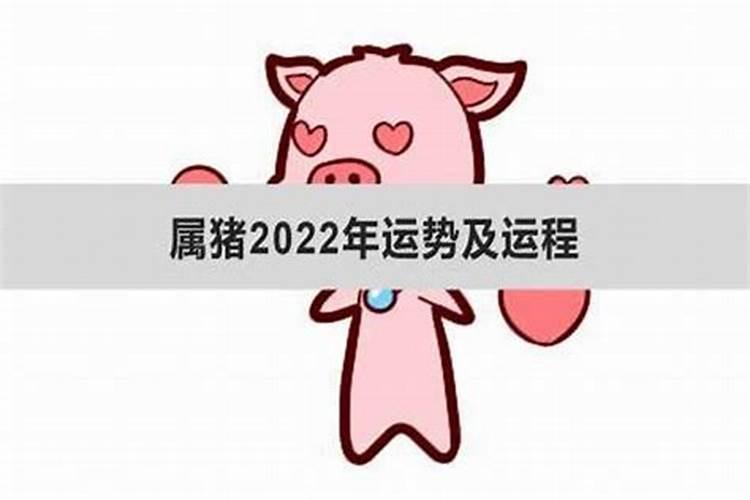 95年猪男2025的婚姻和事业运势
