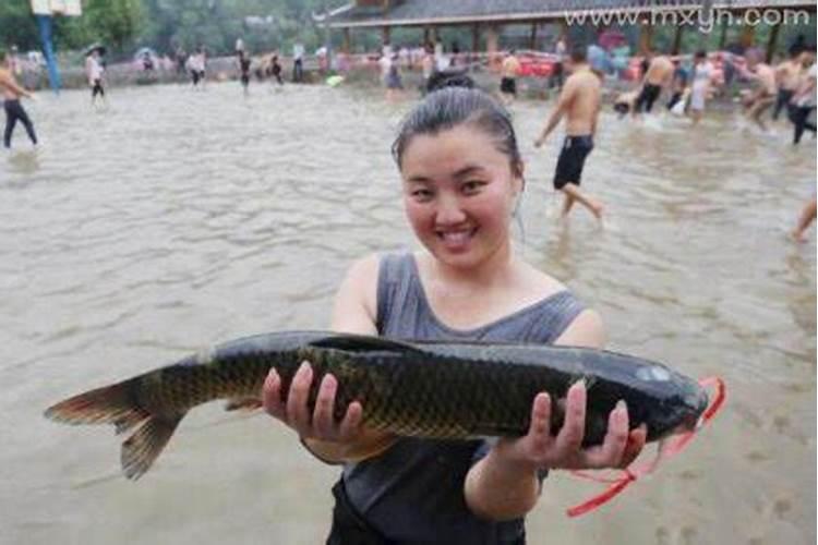 男属羊女属马的婚姻好吗？