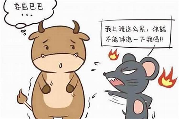 2024正月十五吃什么传统东西每年正月十五要吃什么