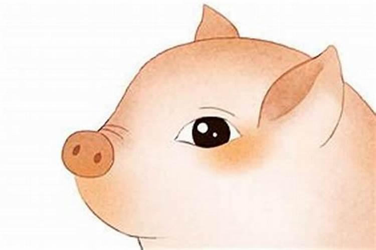 属狗的三合生肖是什么 属狗人相克属相是谁