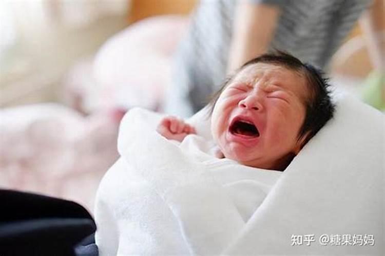 81年农历八月属鸡命运如何 八月出生属鸡人一生荣华富贵？