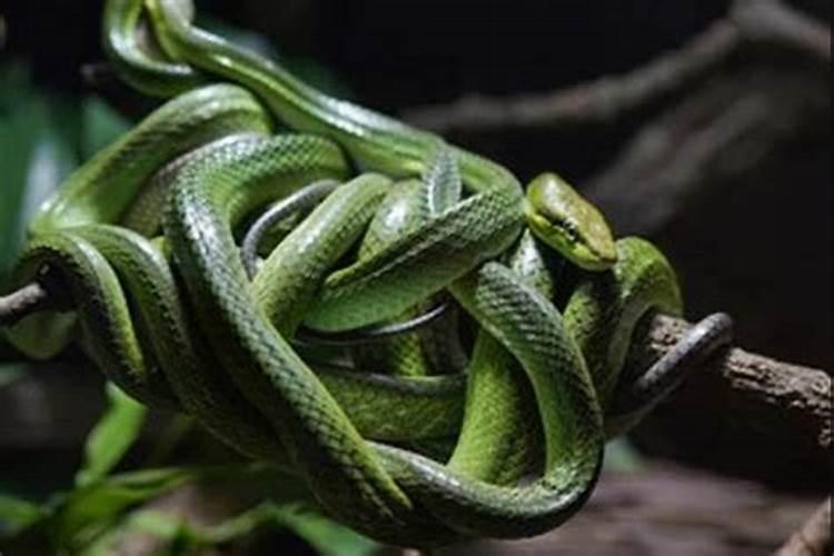 人死第一年秋分要上坟吗？