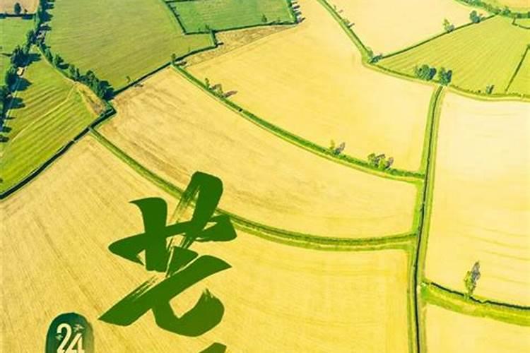 中秋节的由来和传说故事(中秋节的由来和传说故事简短)