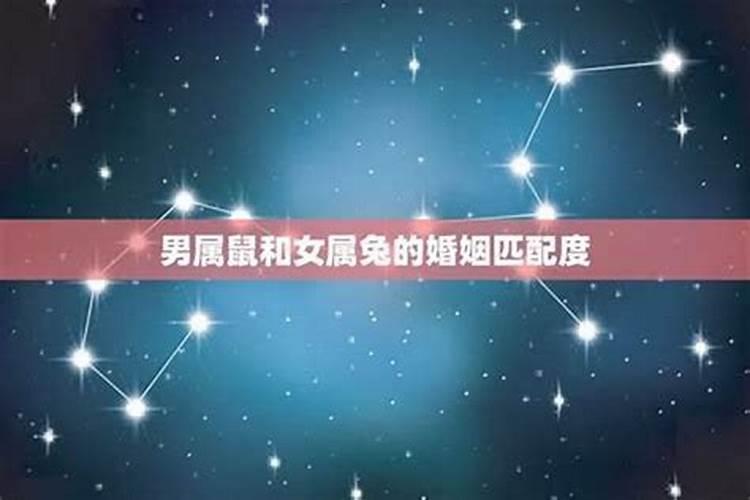 属马男和属兔女的婚姻,属马和属什么的最合适
