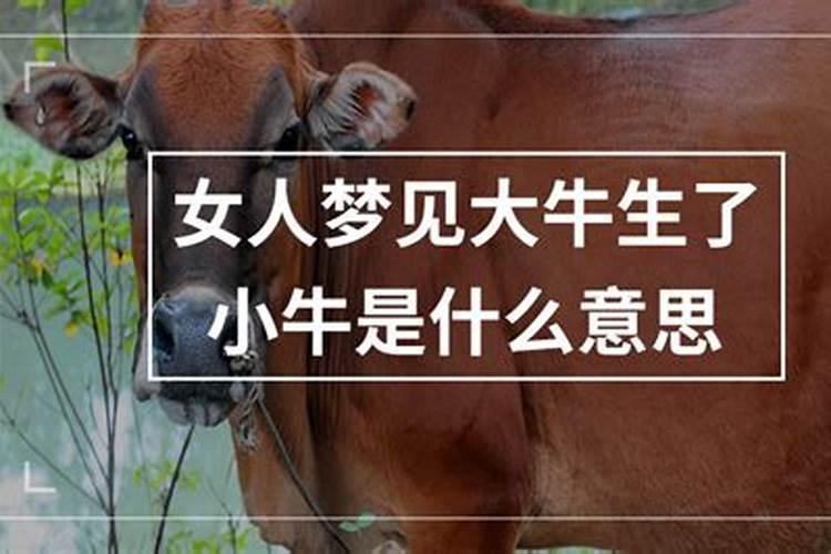 属马2025运势及运程详解