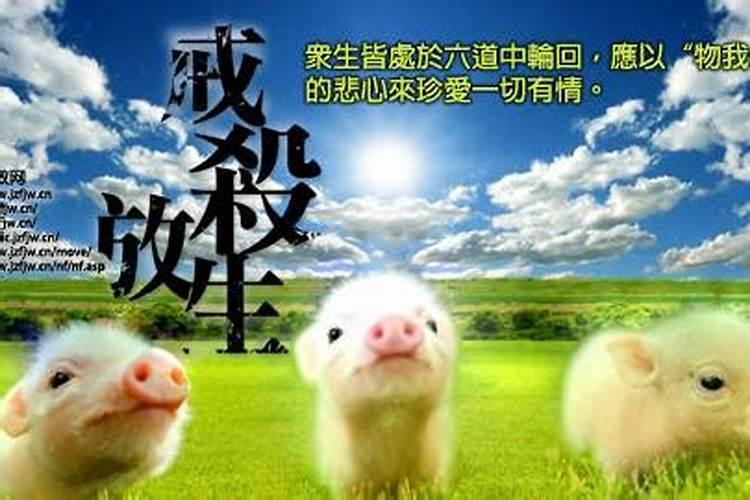 躲君洞之谜