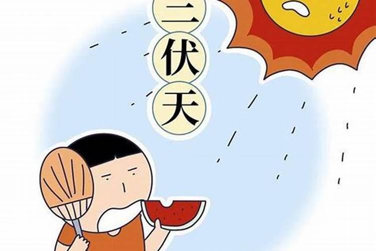 夏至出生的女孩 先苦后甜厚积薄发？