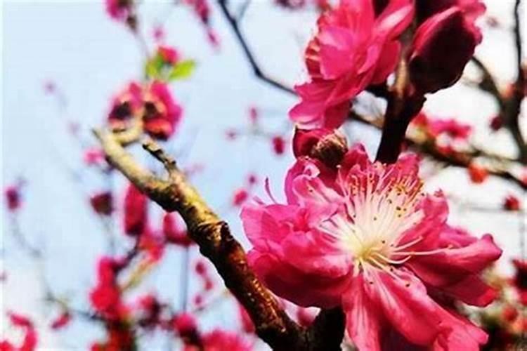 梦见很多人一起跑步什么意思