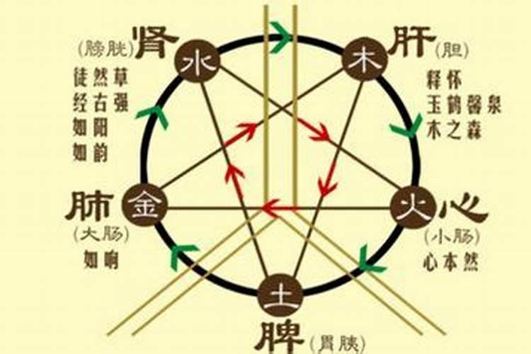 查农历一九六六年三月十二曰生人八字