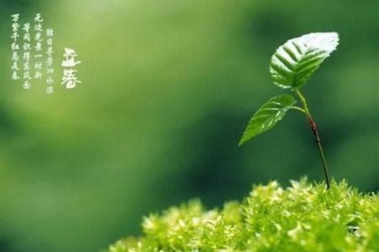 三阴一阳是什么命啊,女的