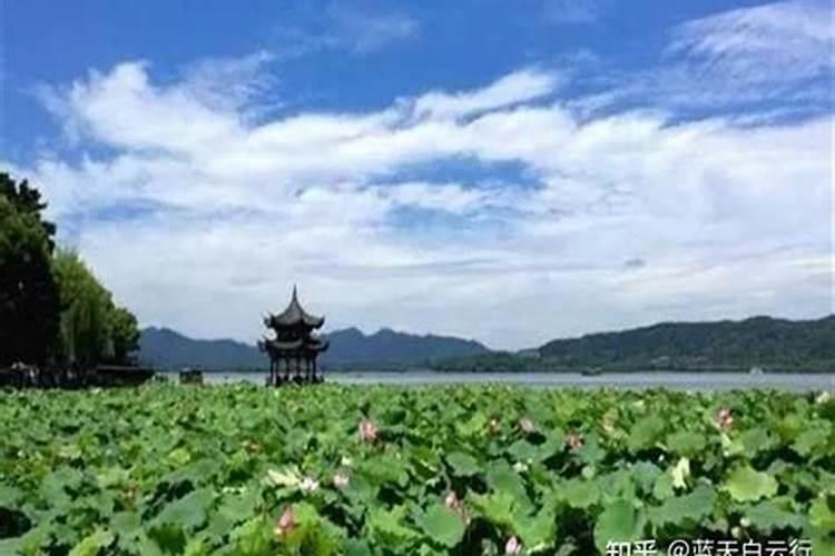 九月初九登高日