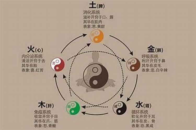 病多的人是不是老天注定的