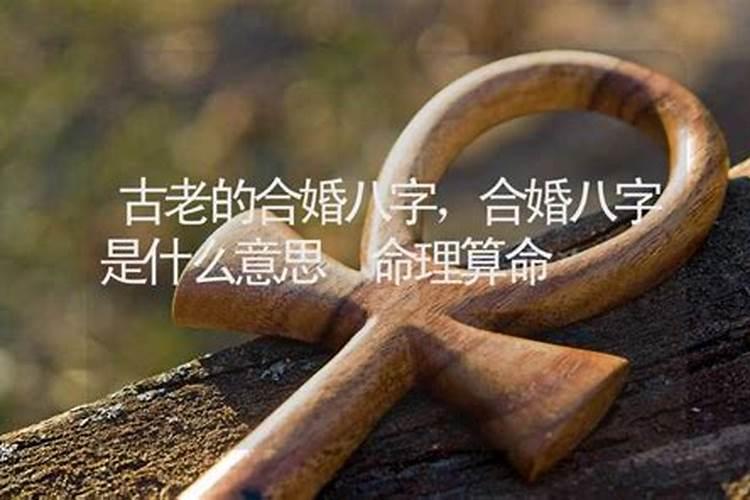 端午节的历史 端午节的由来