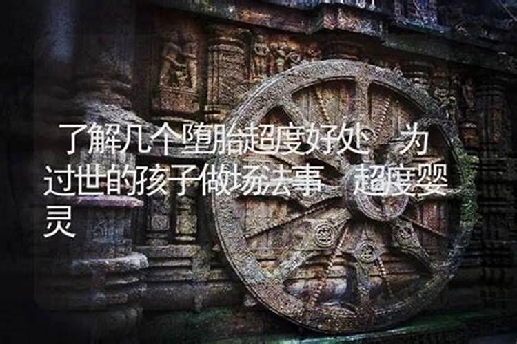 1958年属狗2024年运势及运程详解 58年属狗人2024年龙年每月运程