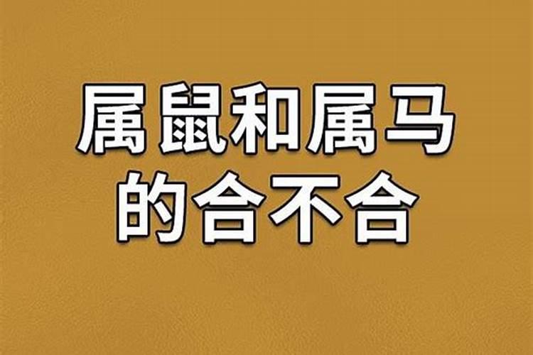 八字带桃花是什么意思