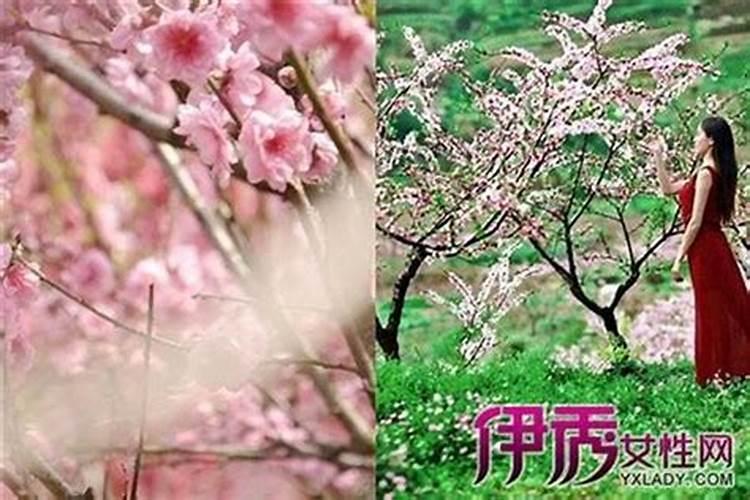 男人犯桃花劫如何化解桃花煞如何消除