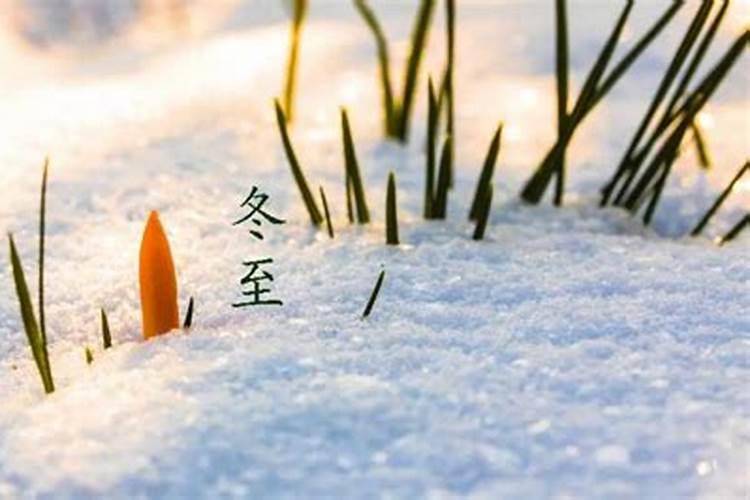 长命蒙山,短命焰口是什么意思？