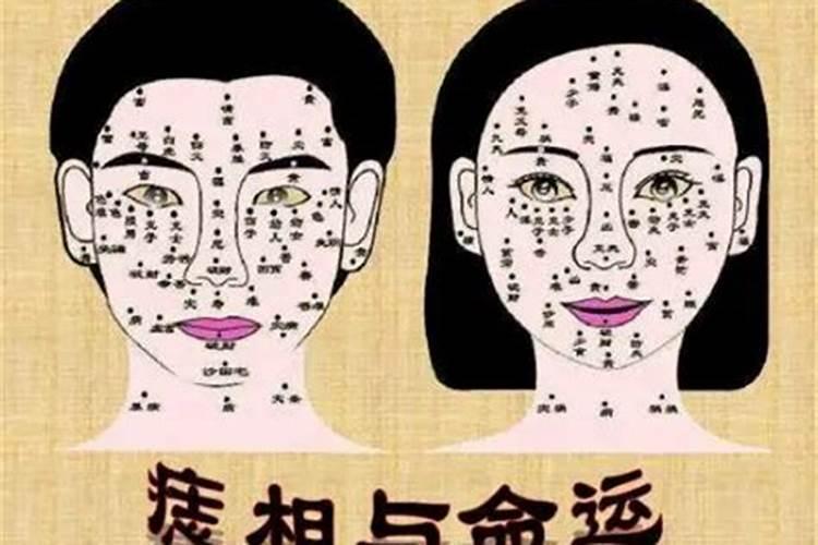 属狗的2025犯太岁吗