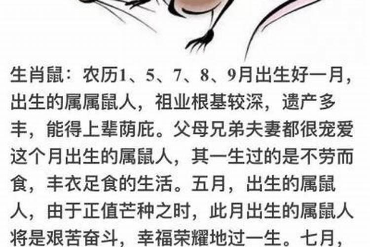 财神鱼寿命有多长