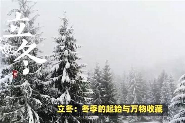算命看财运的专业术语,怎样从八字看财运