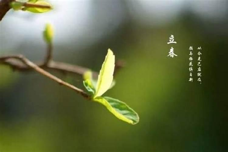 1986年正月初二是什么命