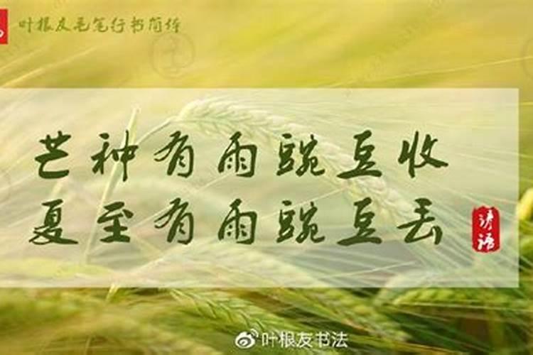 冬至有哪些农事活动
